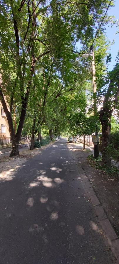 Gabrielle2 Apartman Debrecen Exterior foto